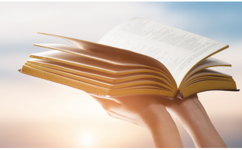 低定量出版印刷用紙